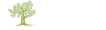 Oliveira Despachante